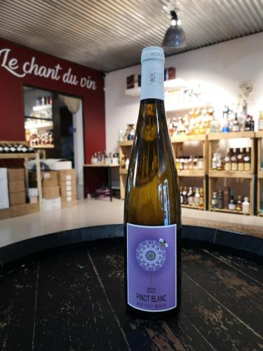 Pinot Blanc